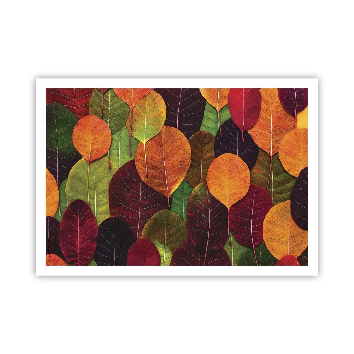 arttor2-239430