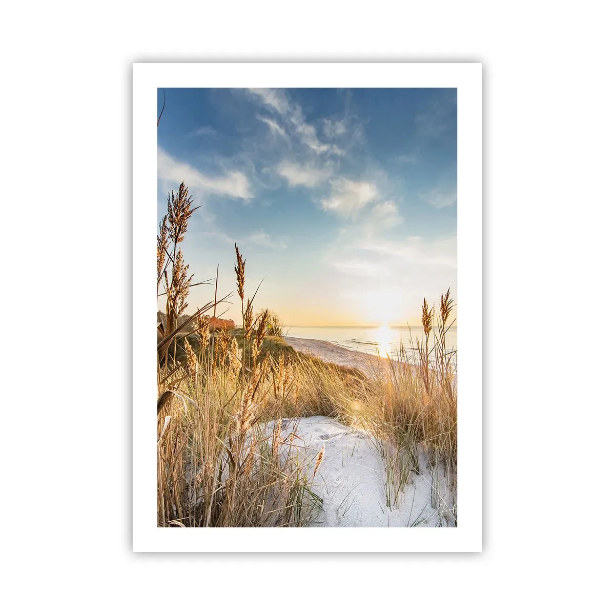 arttor2-239506
