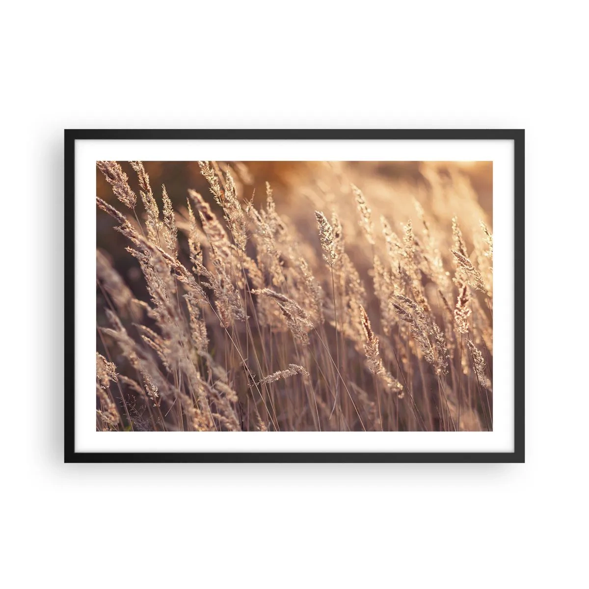 arttor2-240438