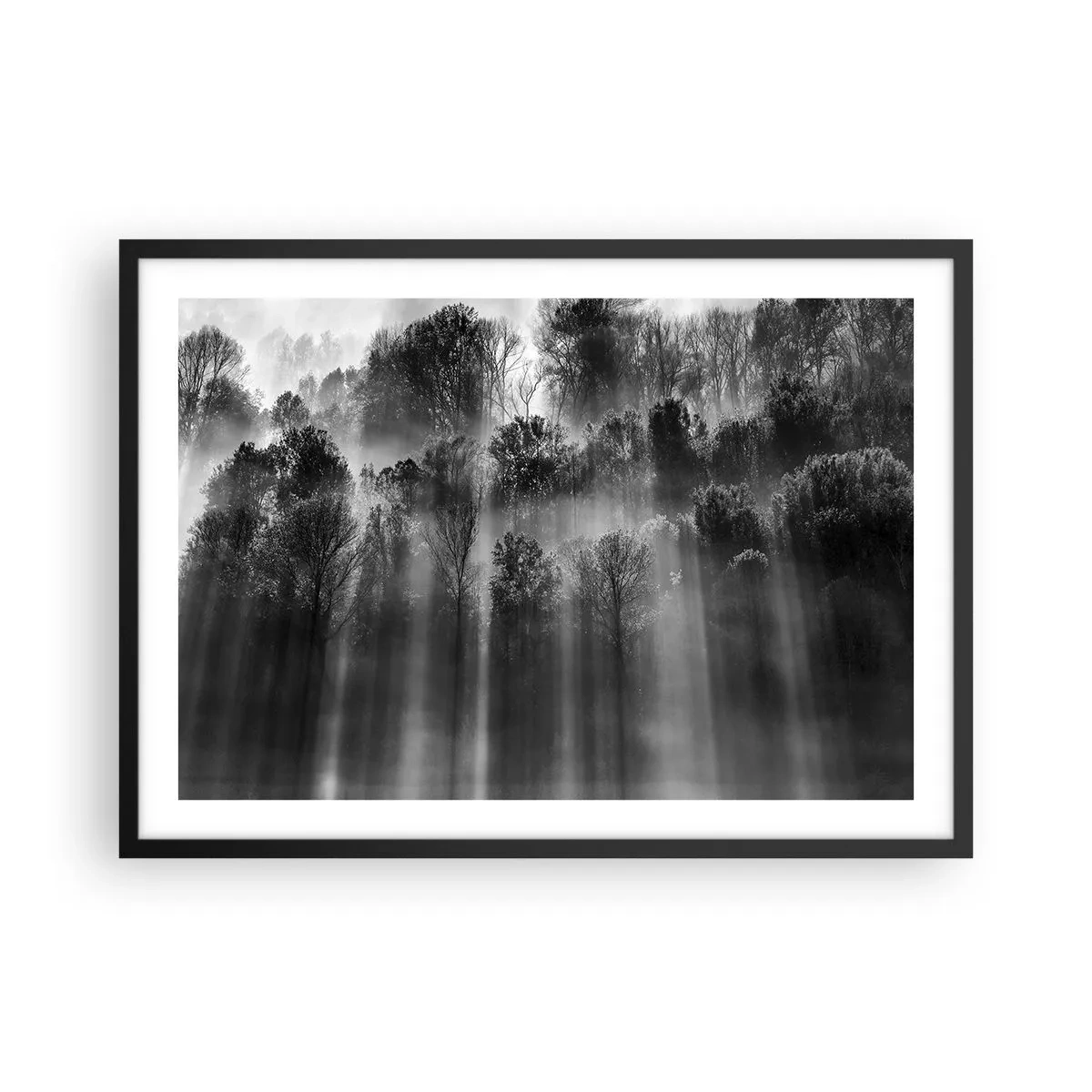 arttor2-240697