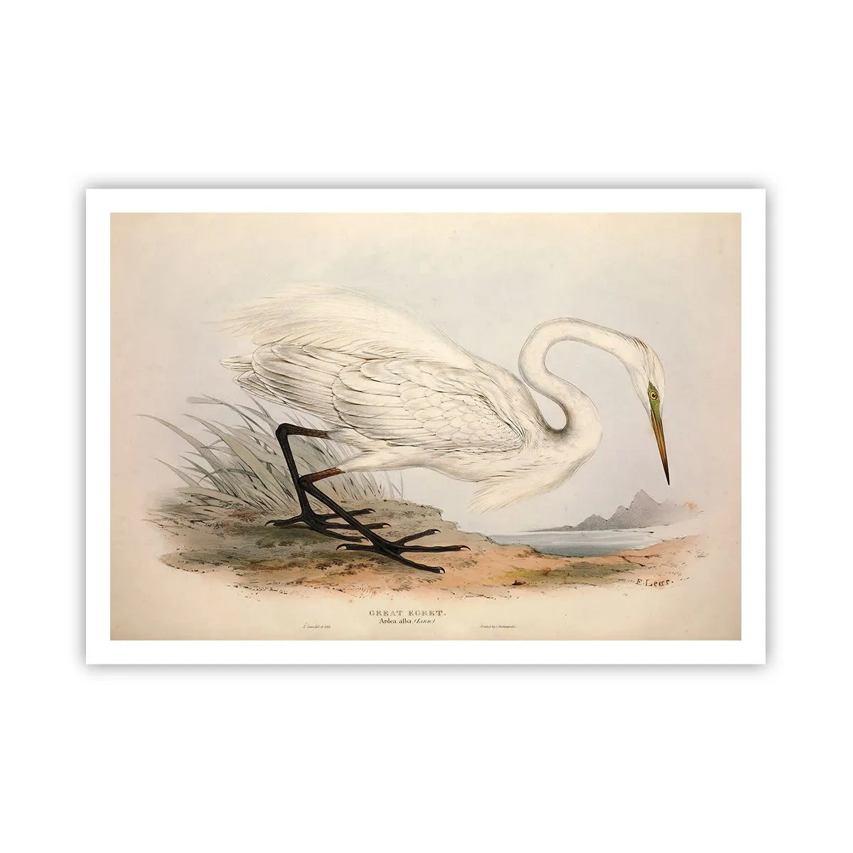 arttor2-241142