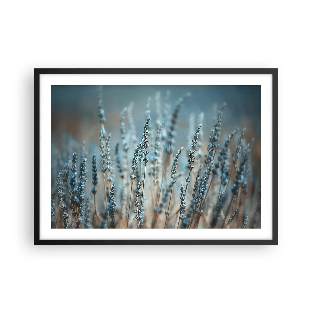 arttor2-241177