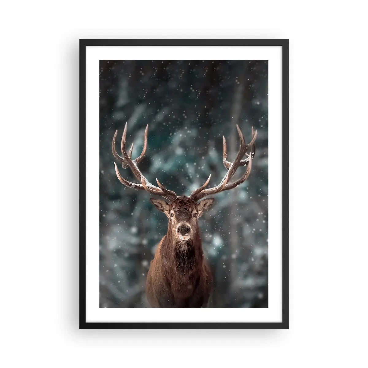 arttor2-241236