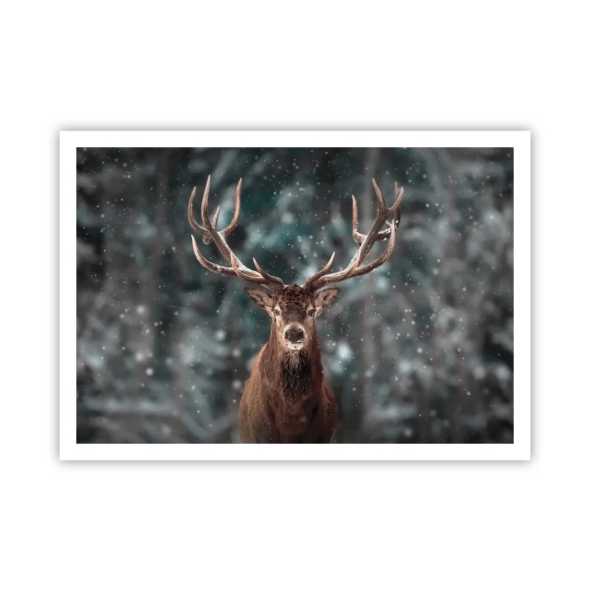arttor2-241240