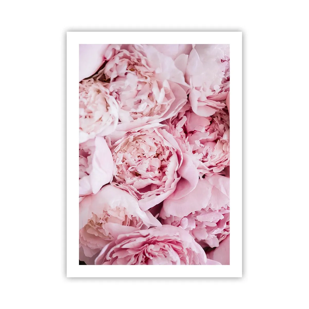 arttor2-241253
