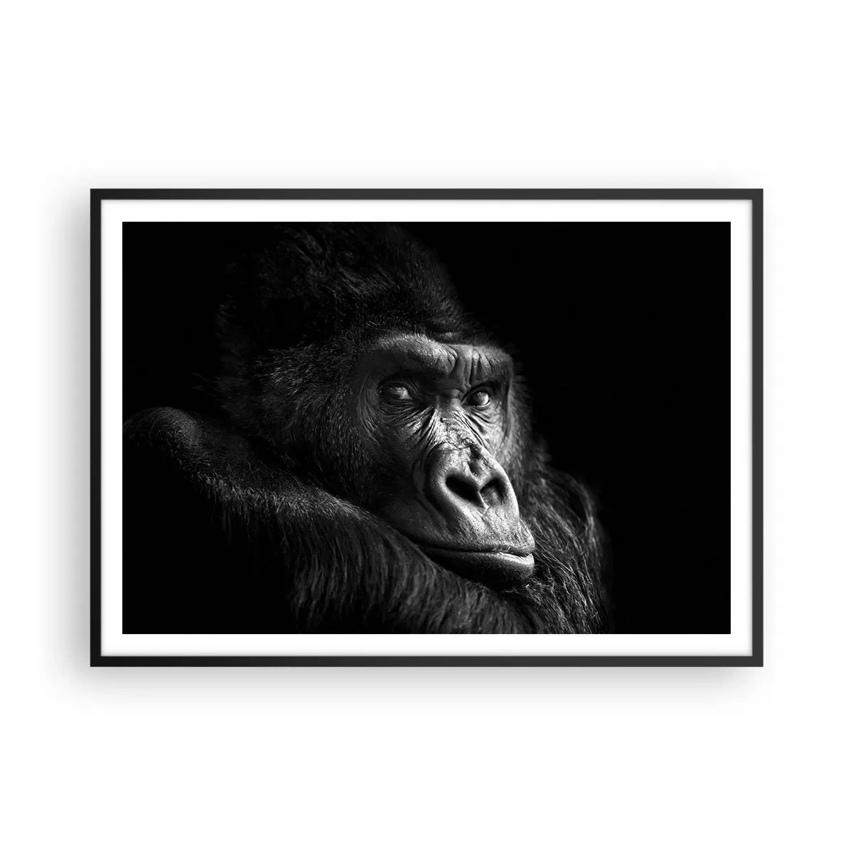 arttor2-241282