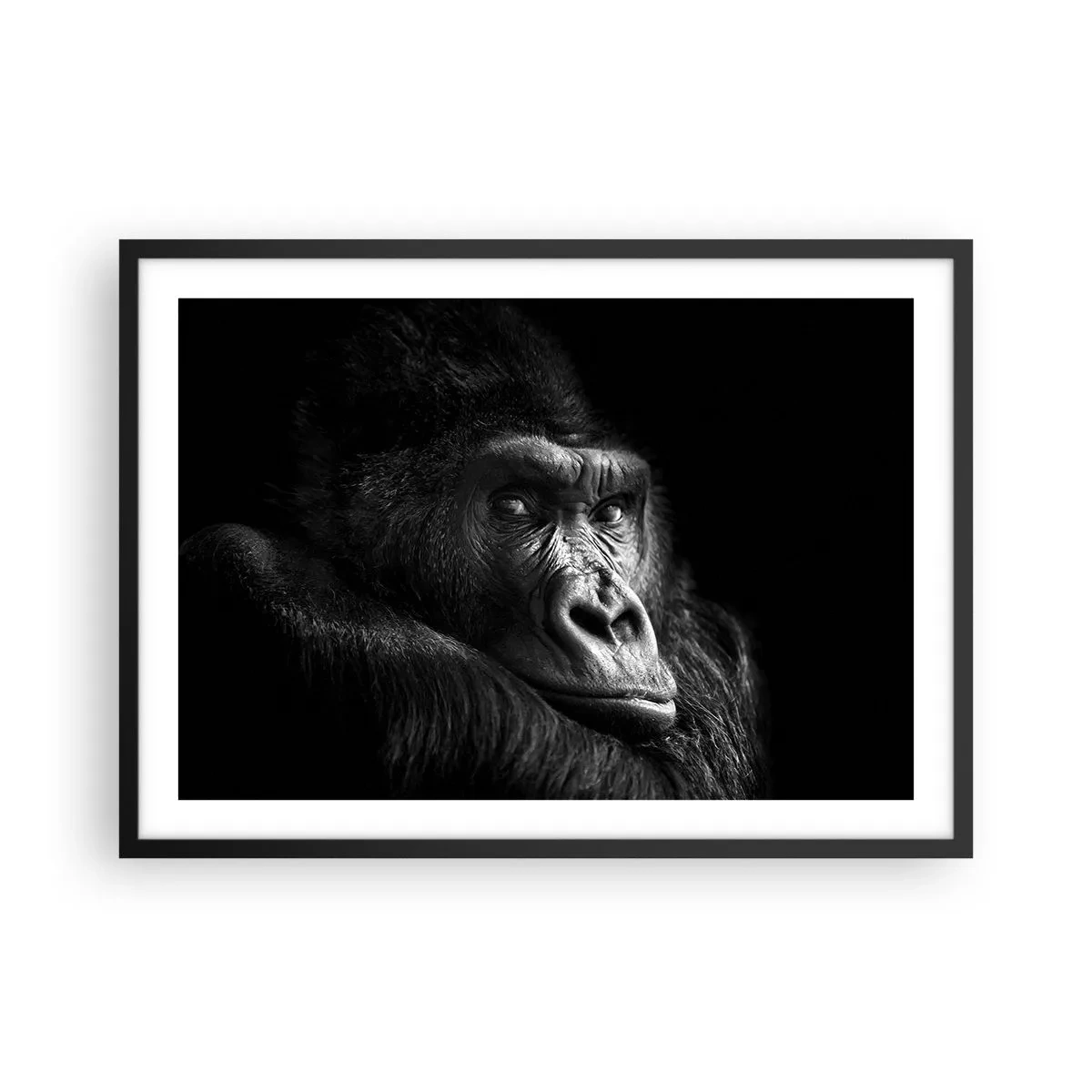 arttor2-241284