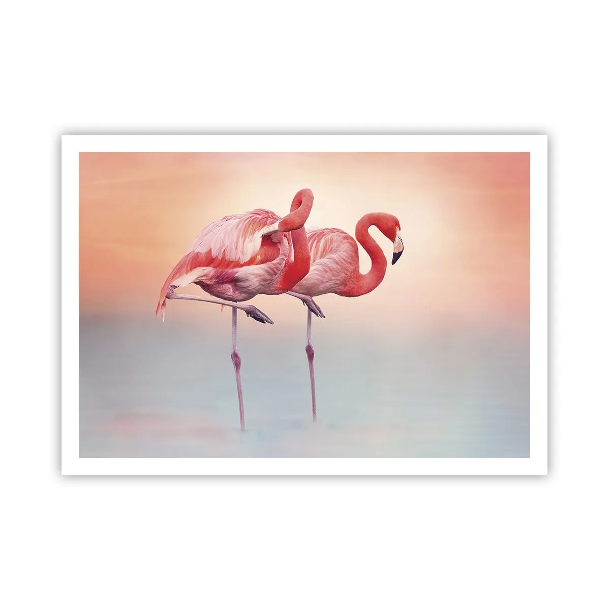 arttor2-241466