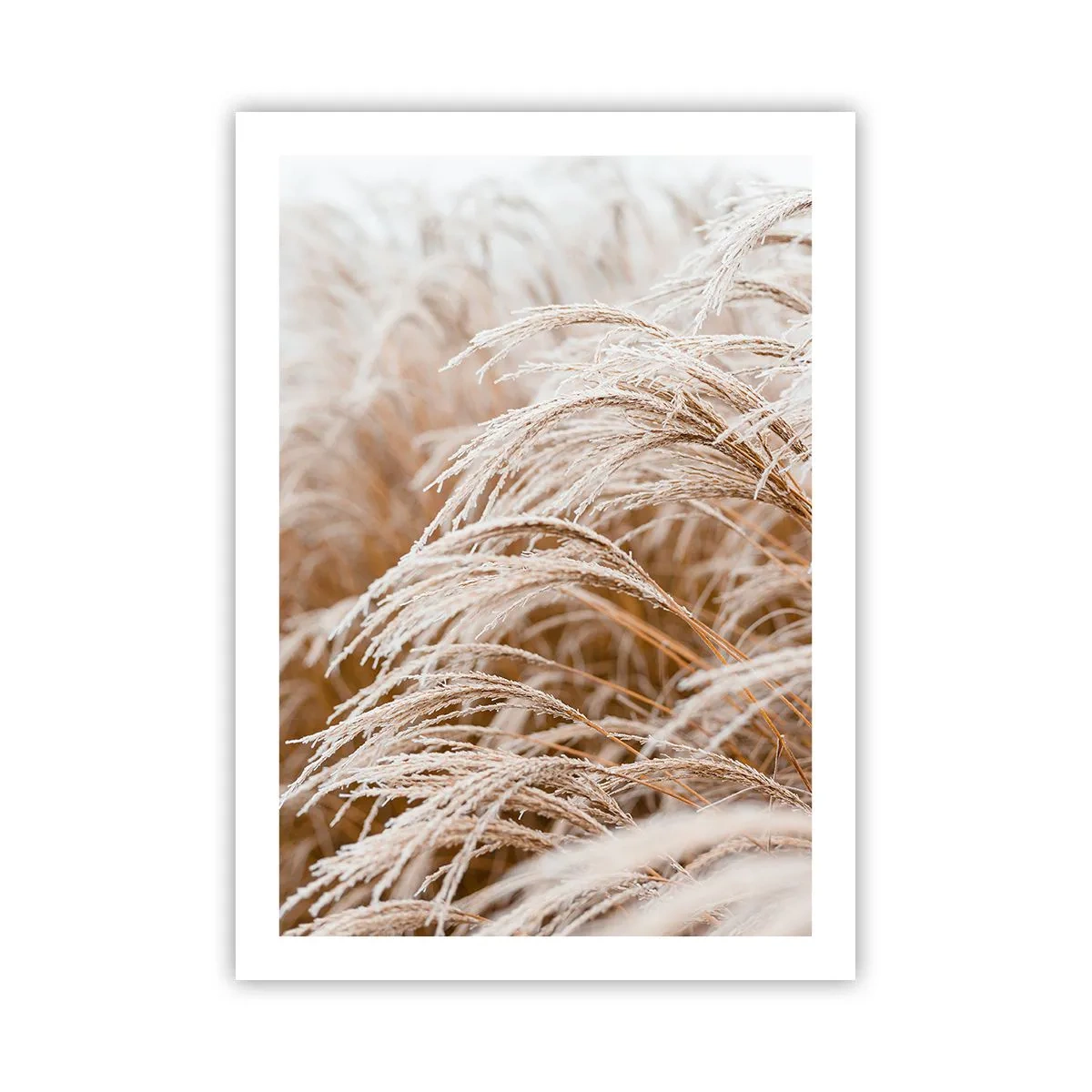 arttor2-242029