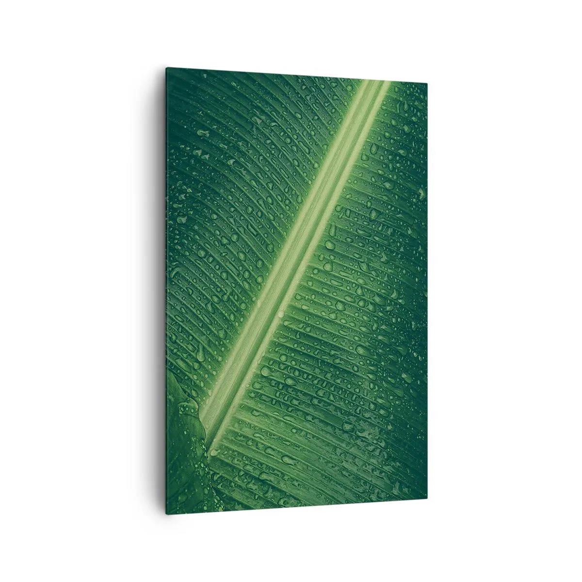 arttor2-82494