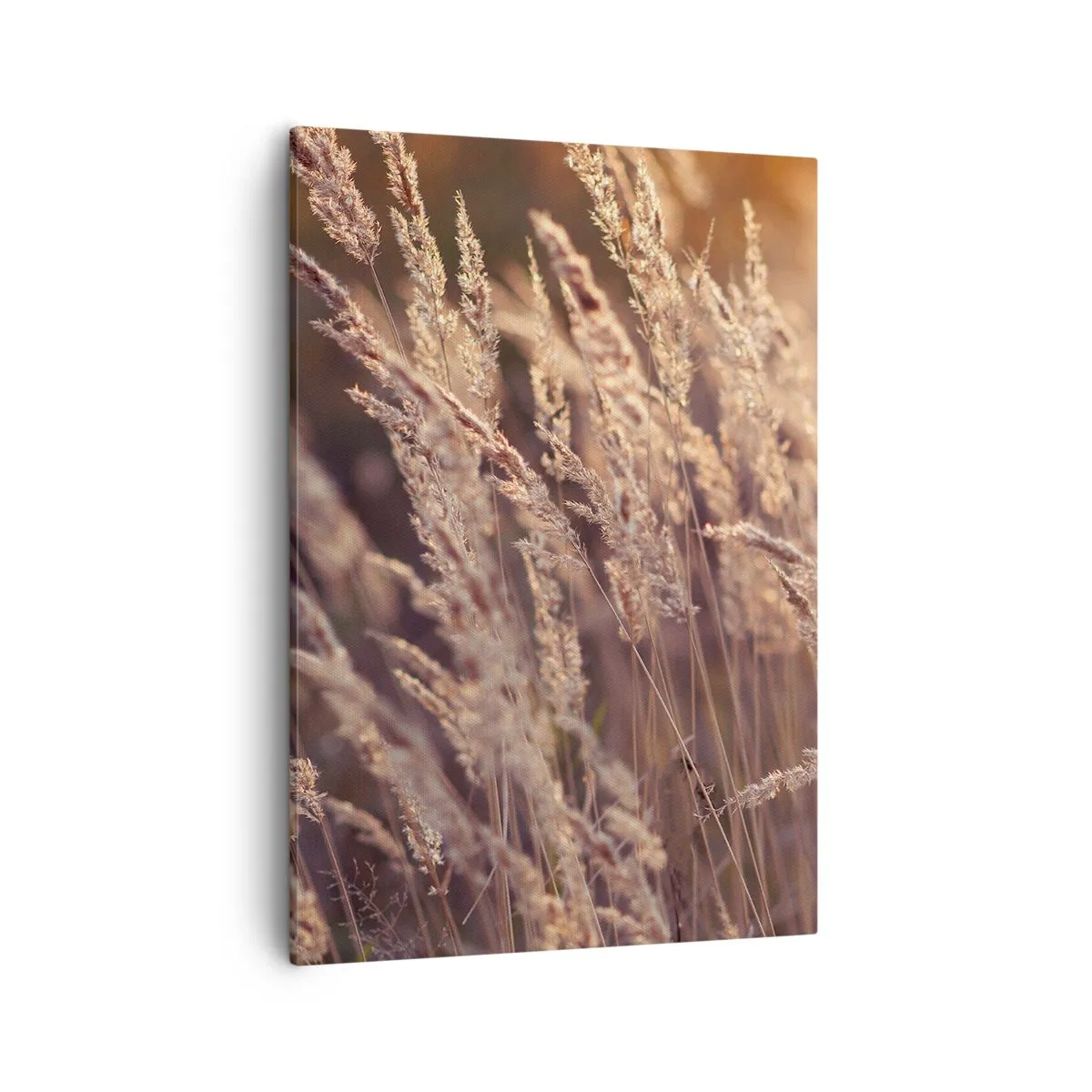 arttor2-84283