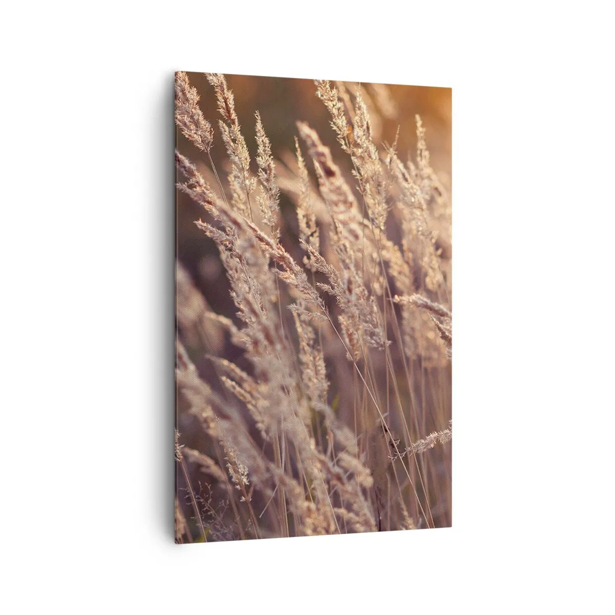 arttor2-84284