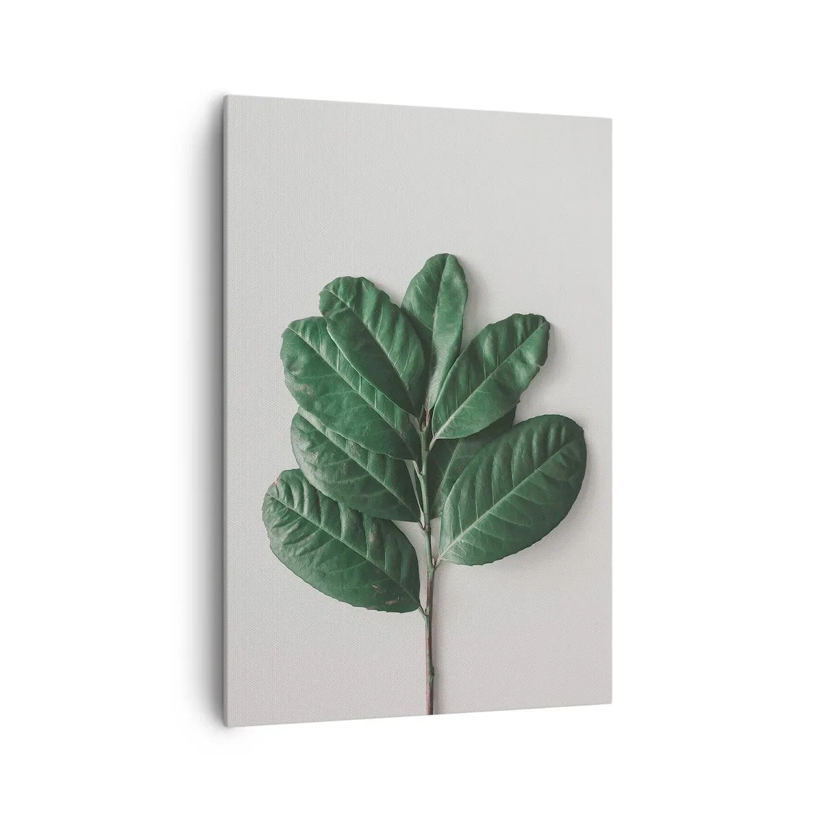 arttor2-87063