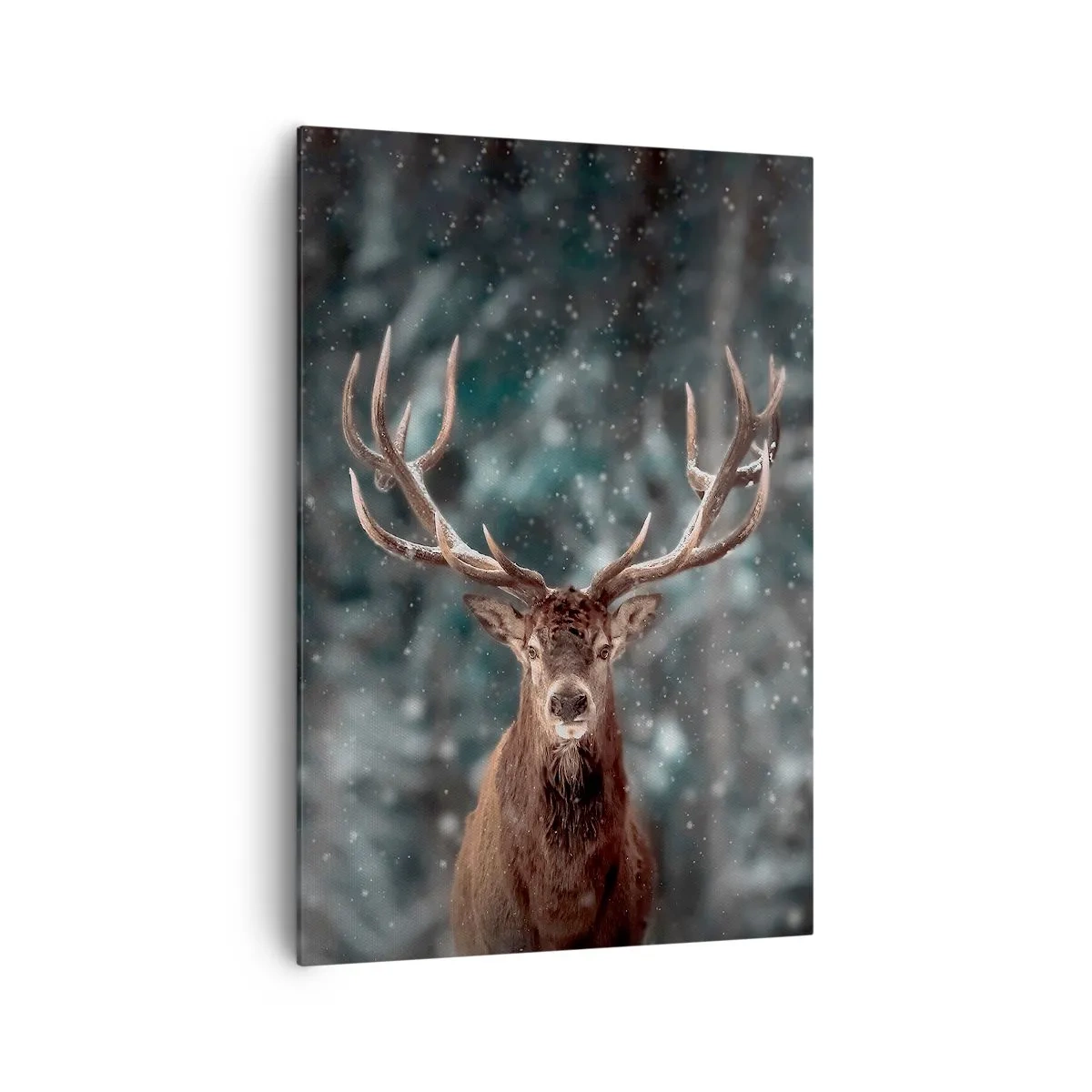 arttor2-87305