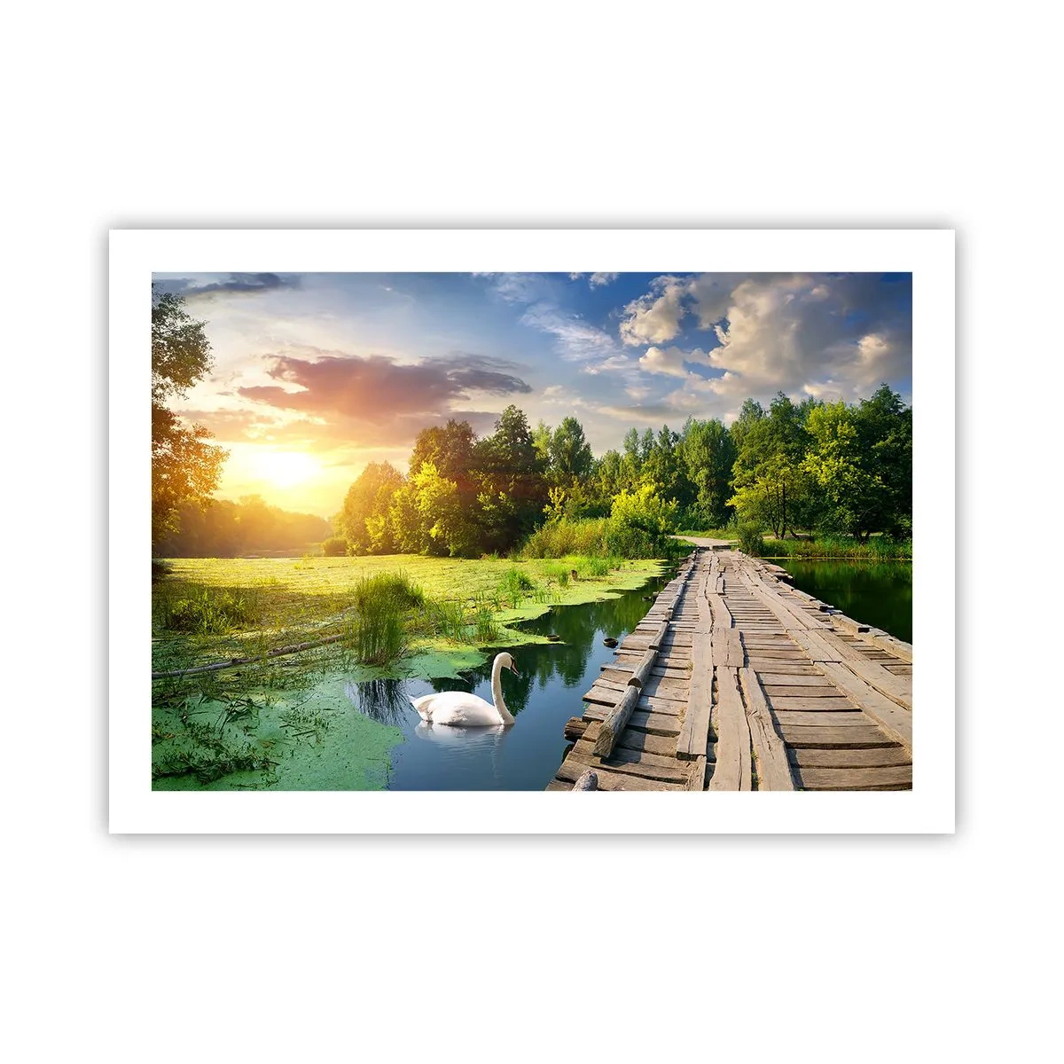 arttor3-212925