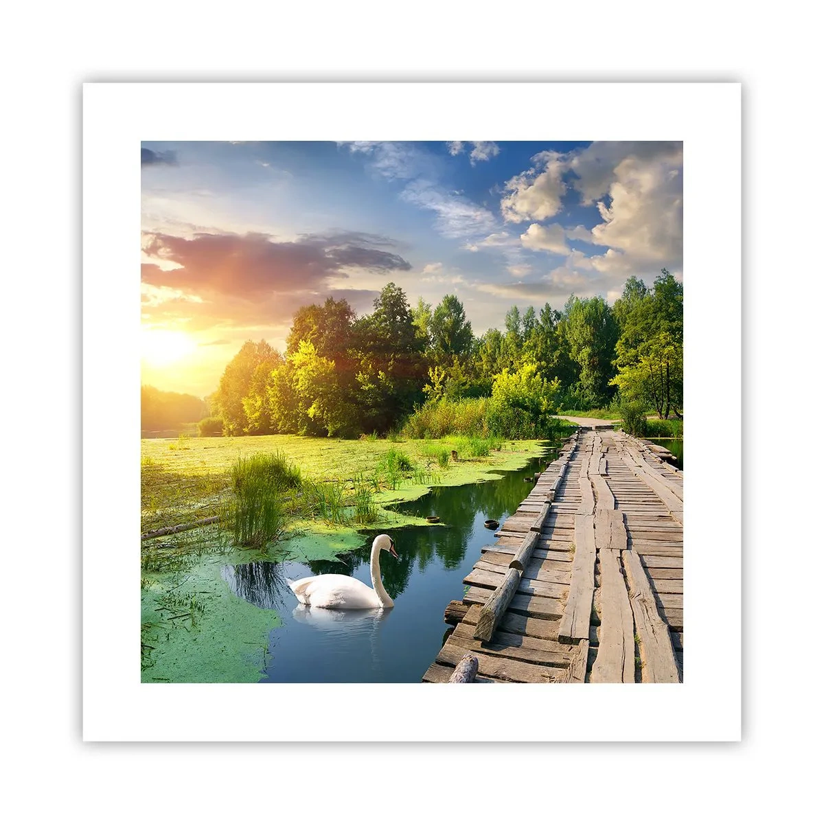 arttor3-212947