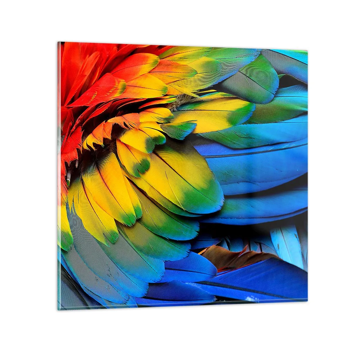 arttor3-213667
