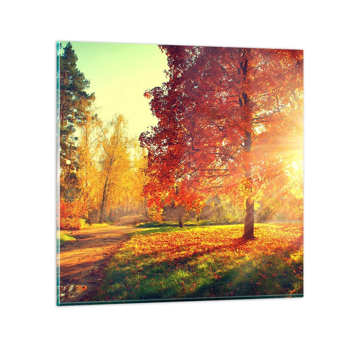 arttor3-216543