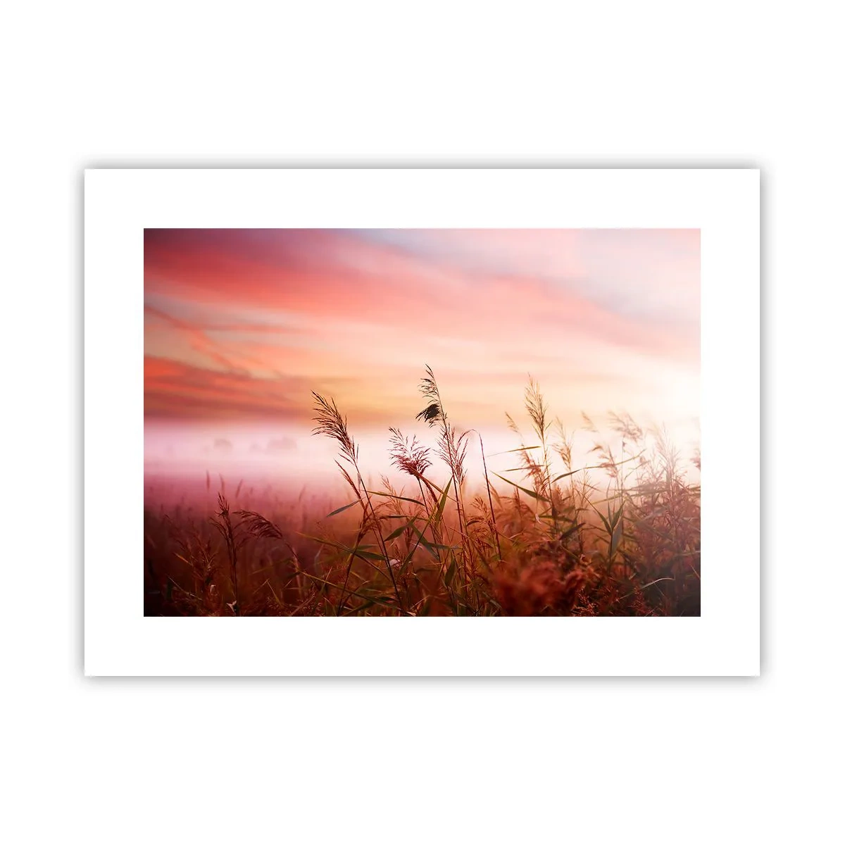 arttor3-228982