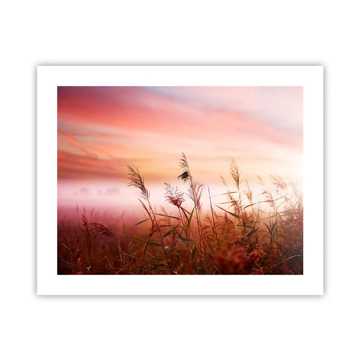 arttor3-228995