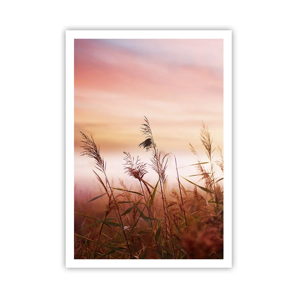 arttor3-229092