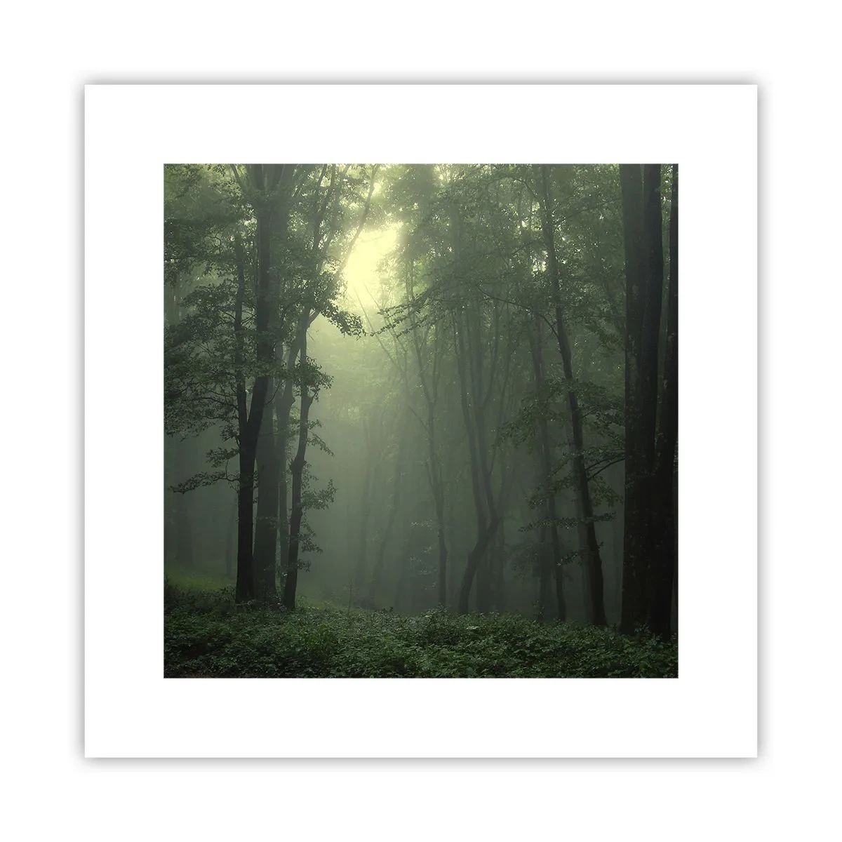 arttor3-232525