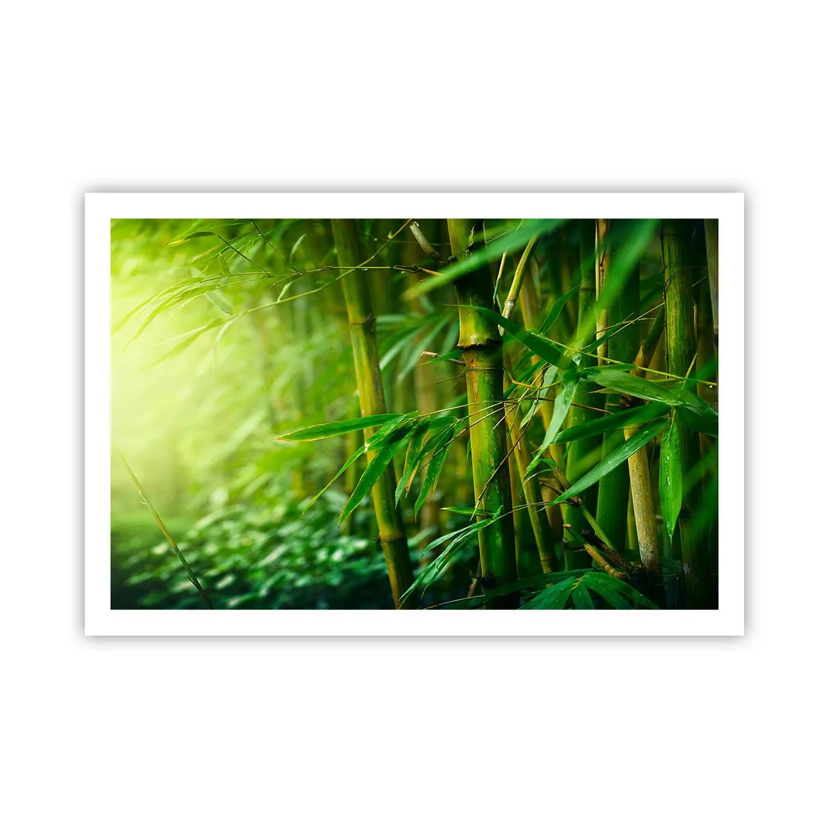 arttor3-235497