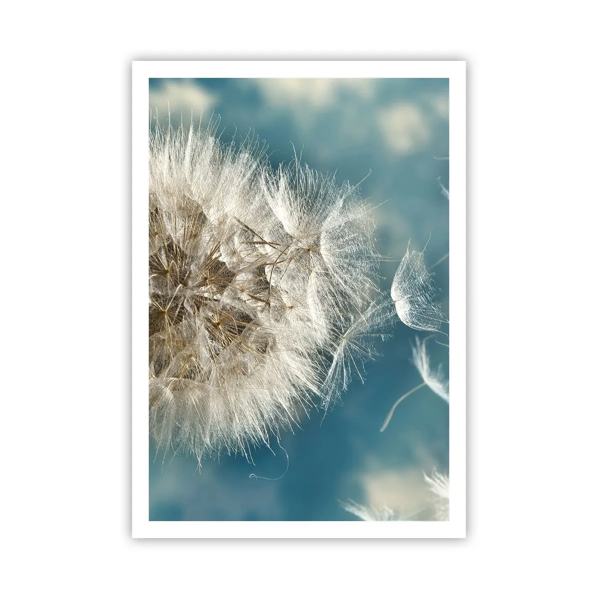 arttor3-236579