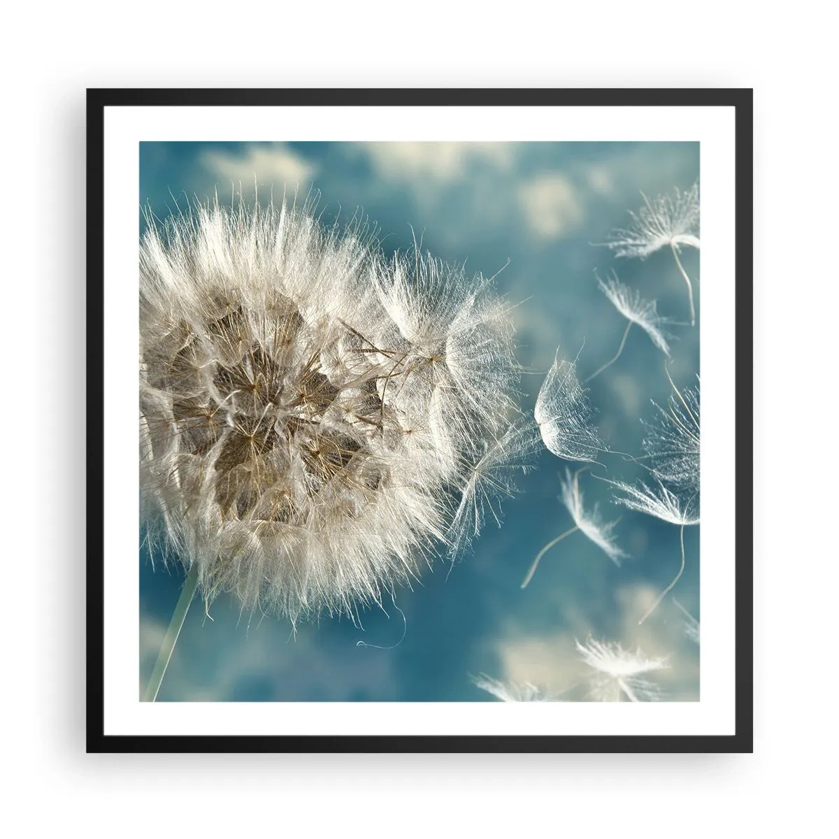 arttor3-236676