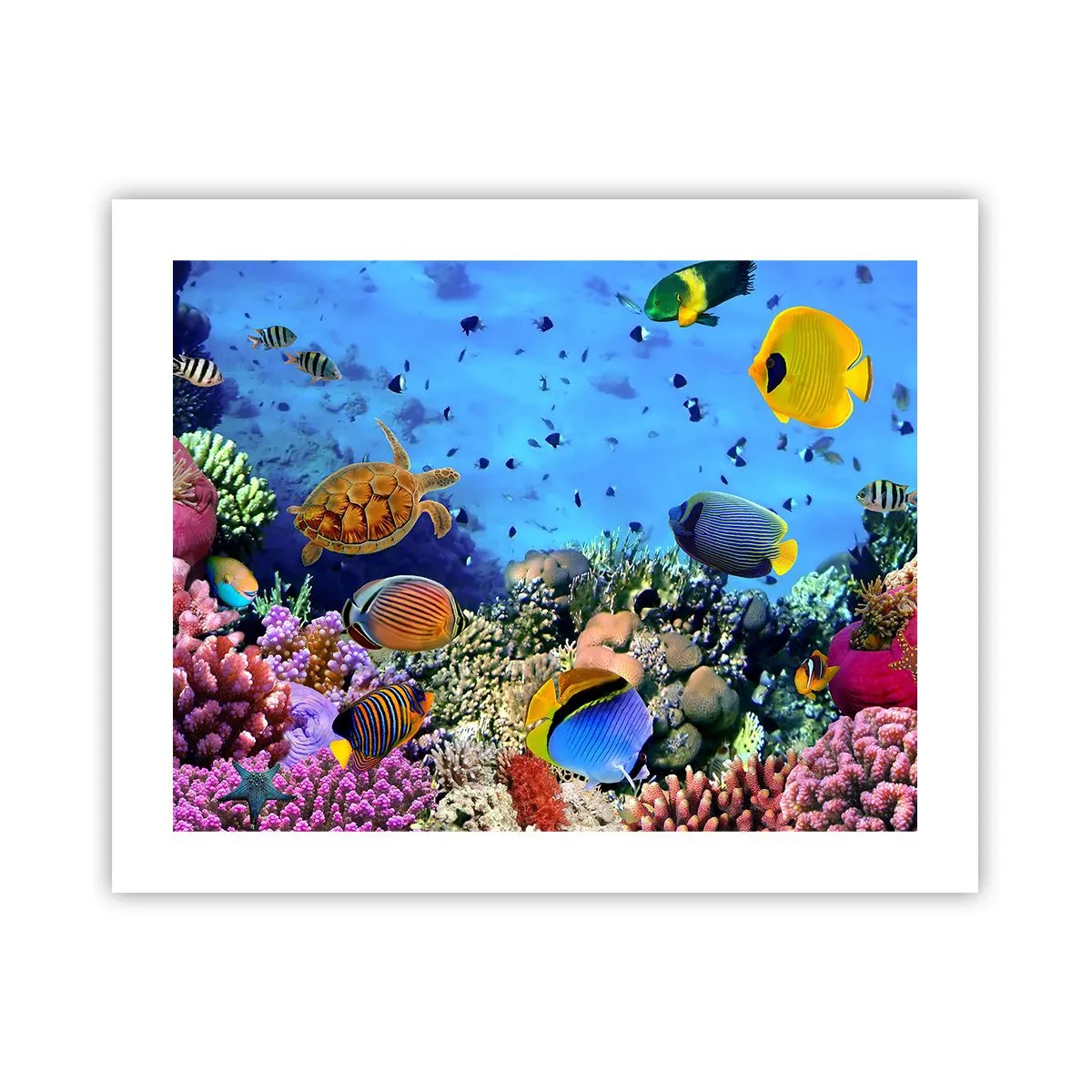 arttor3-236959
