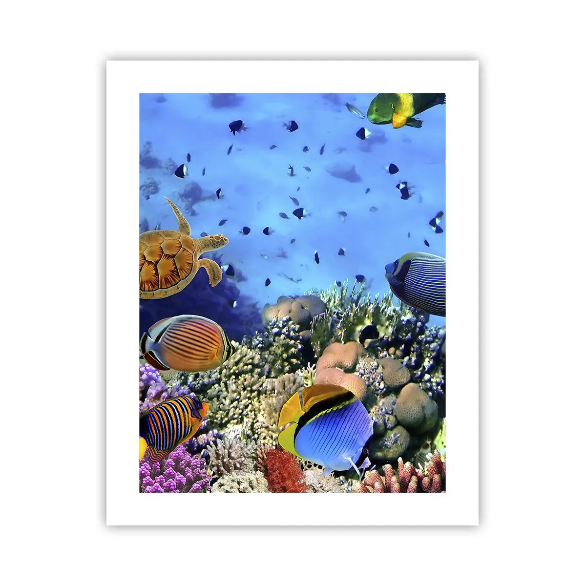 arttor3-237062