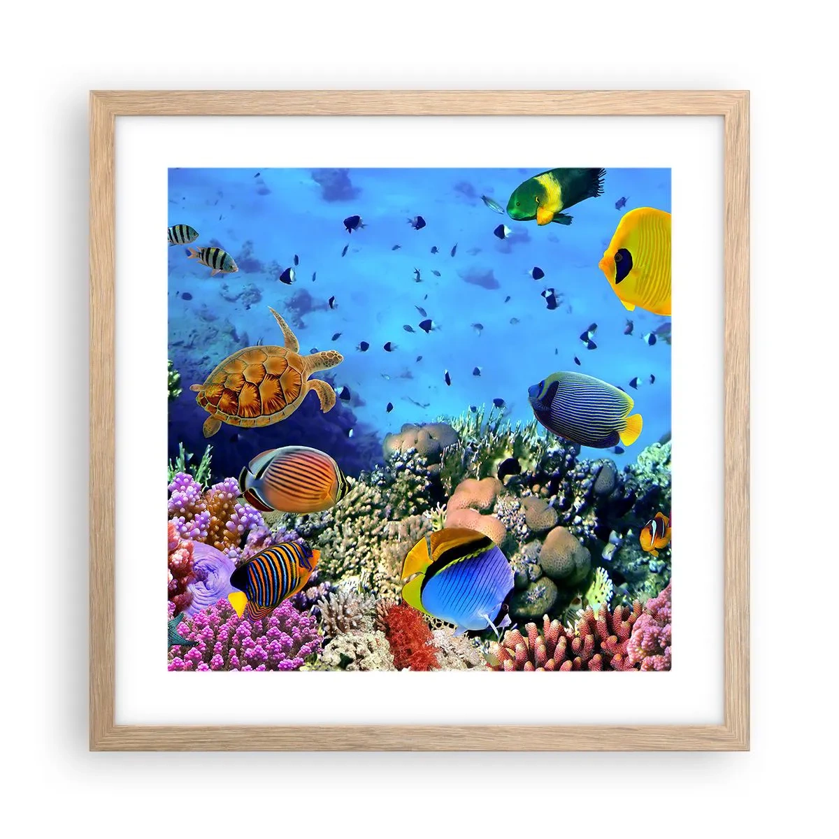 arttor3-237430