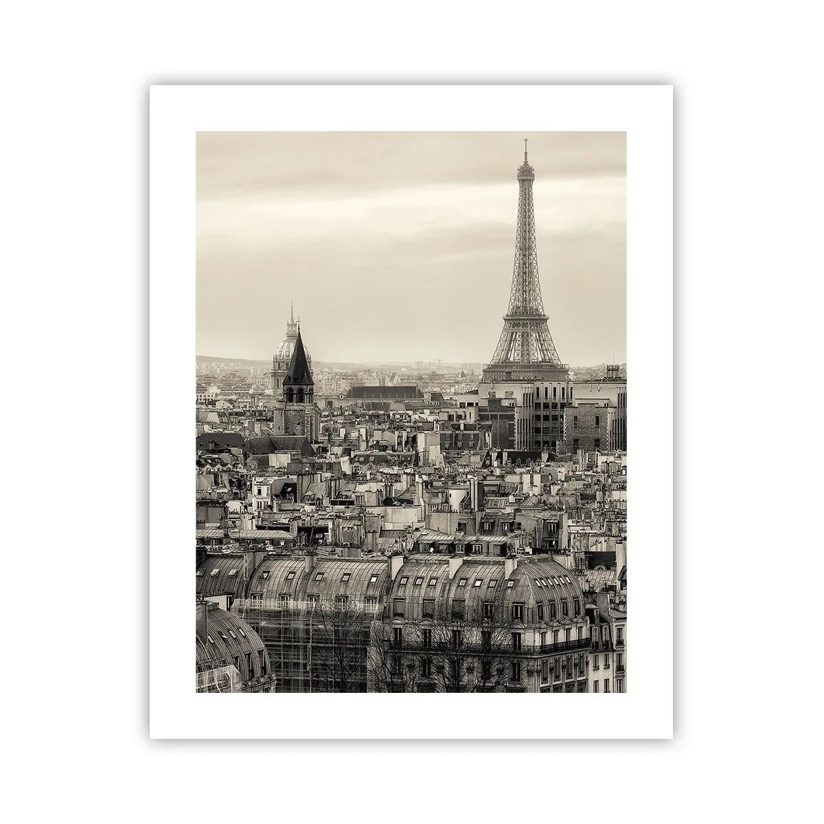 arttor3-246430
