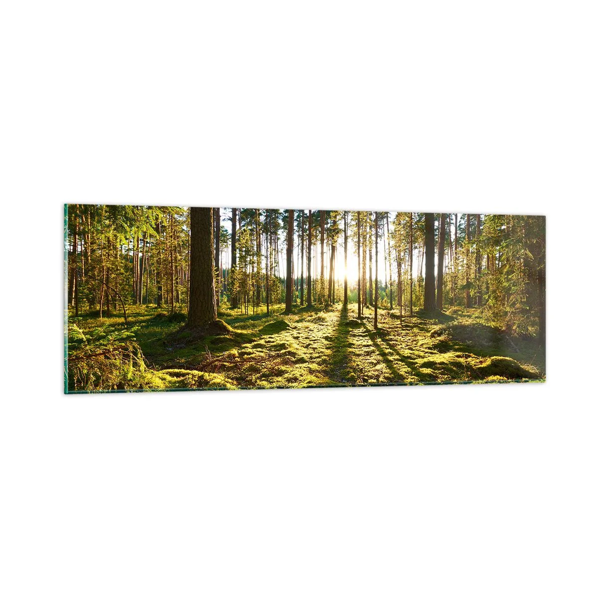 arttor3-247578