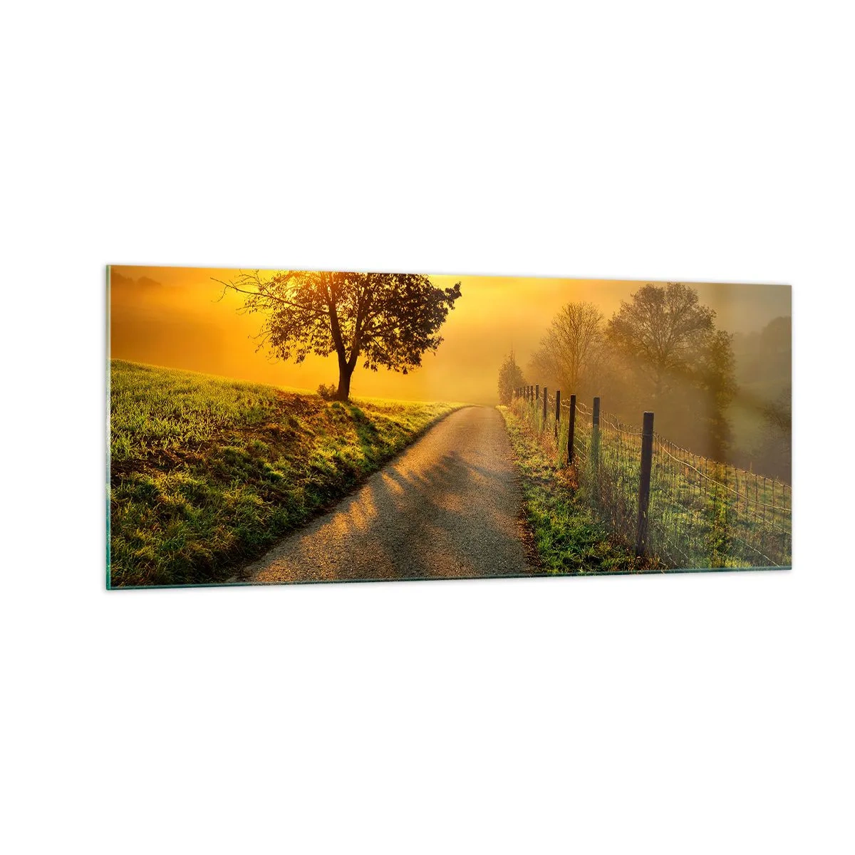 arttor3-251641