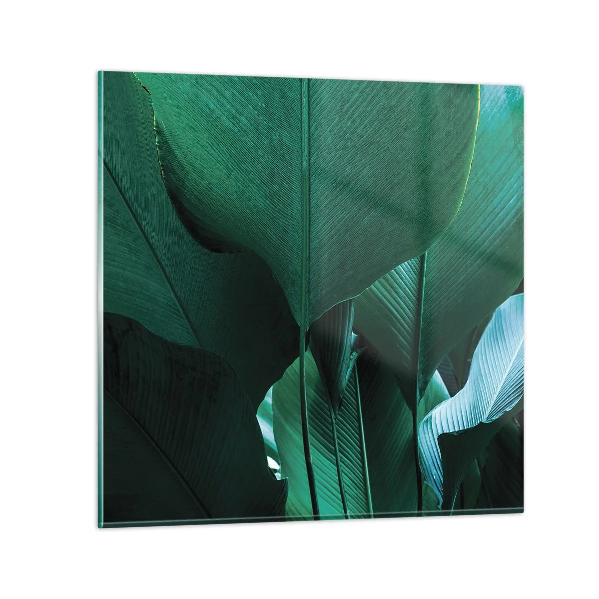 arttor3-261350