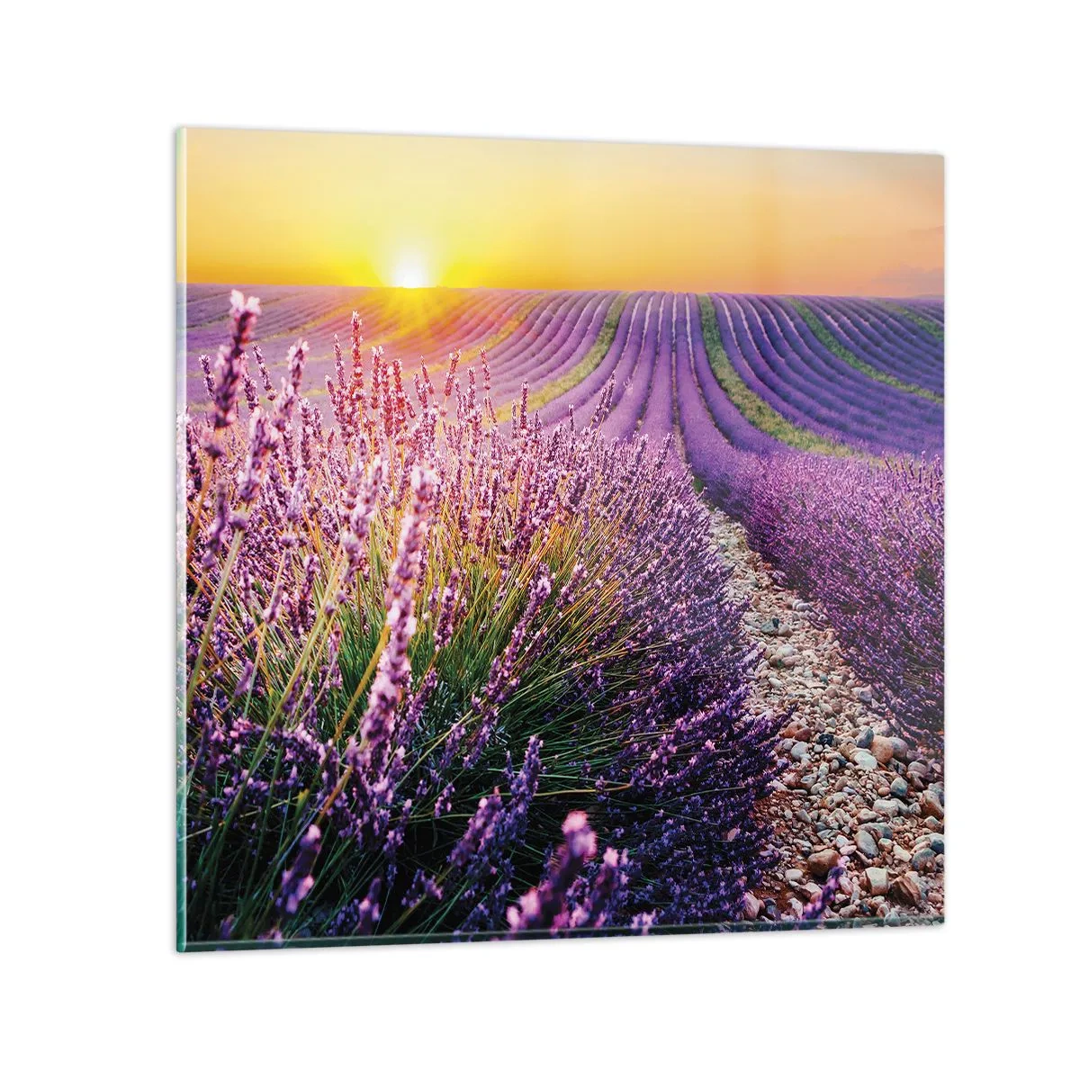 arttor3-261490