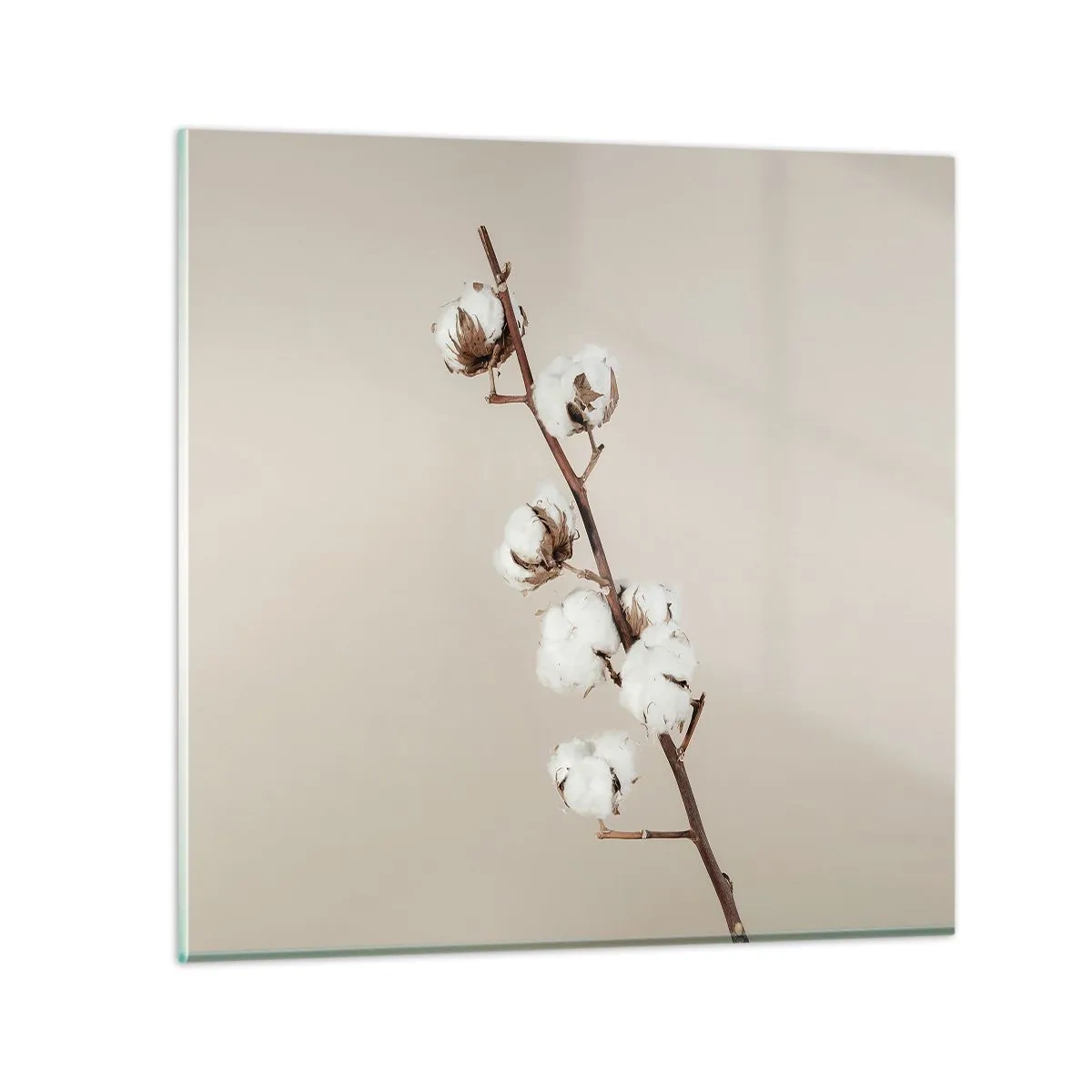 arttor3-261809