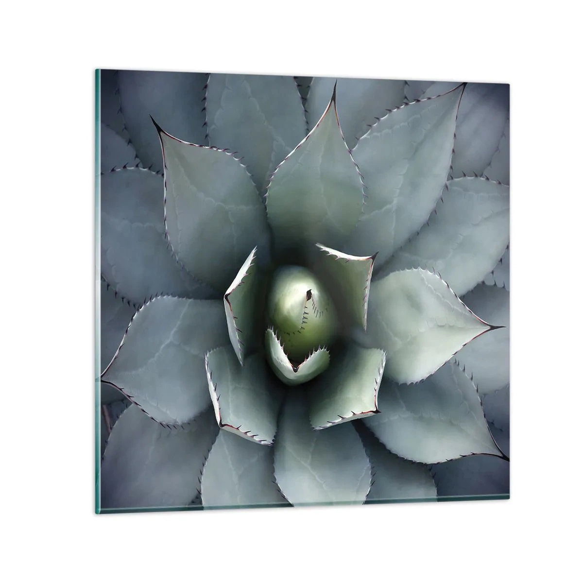 arttor3-283808
