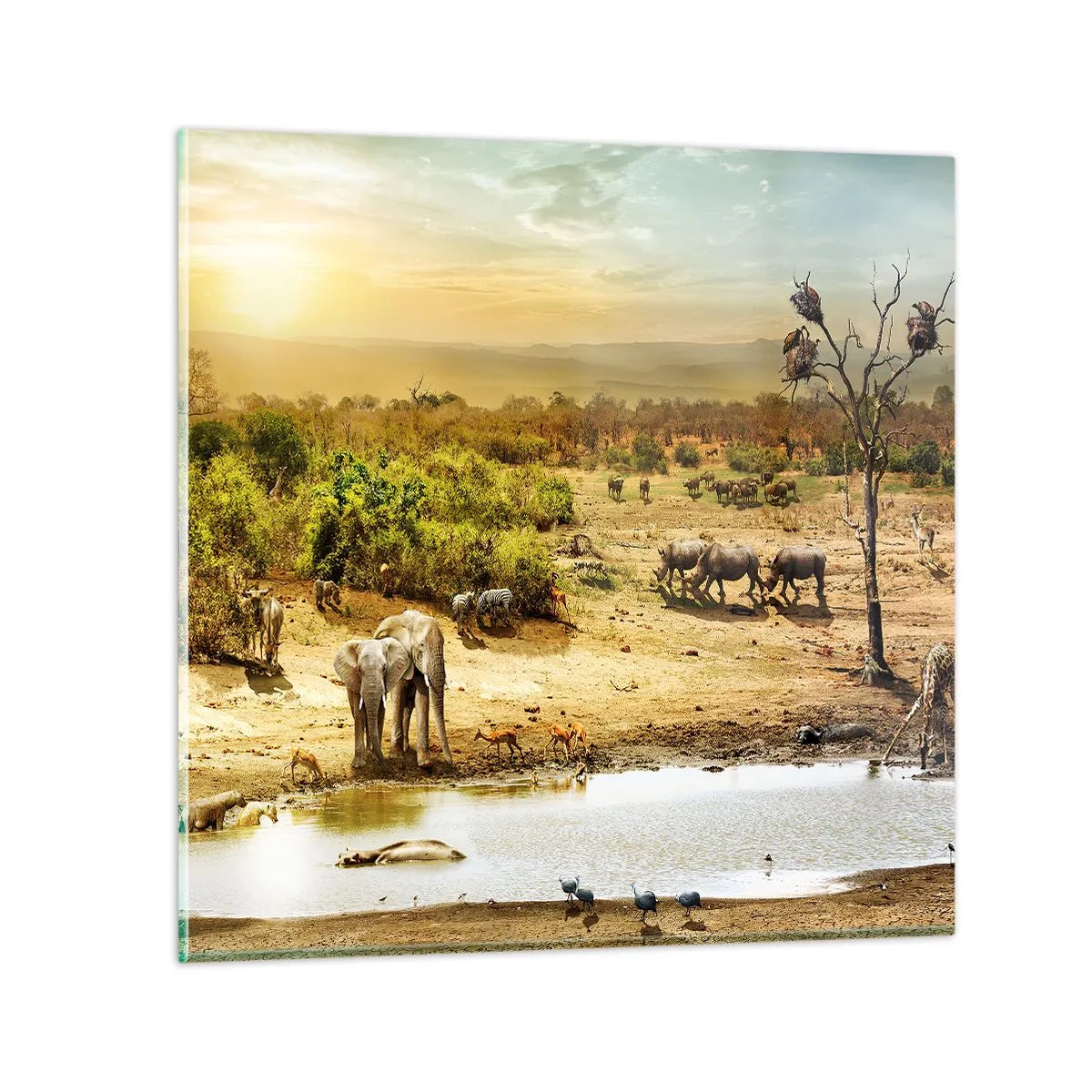 arttor3-320367