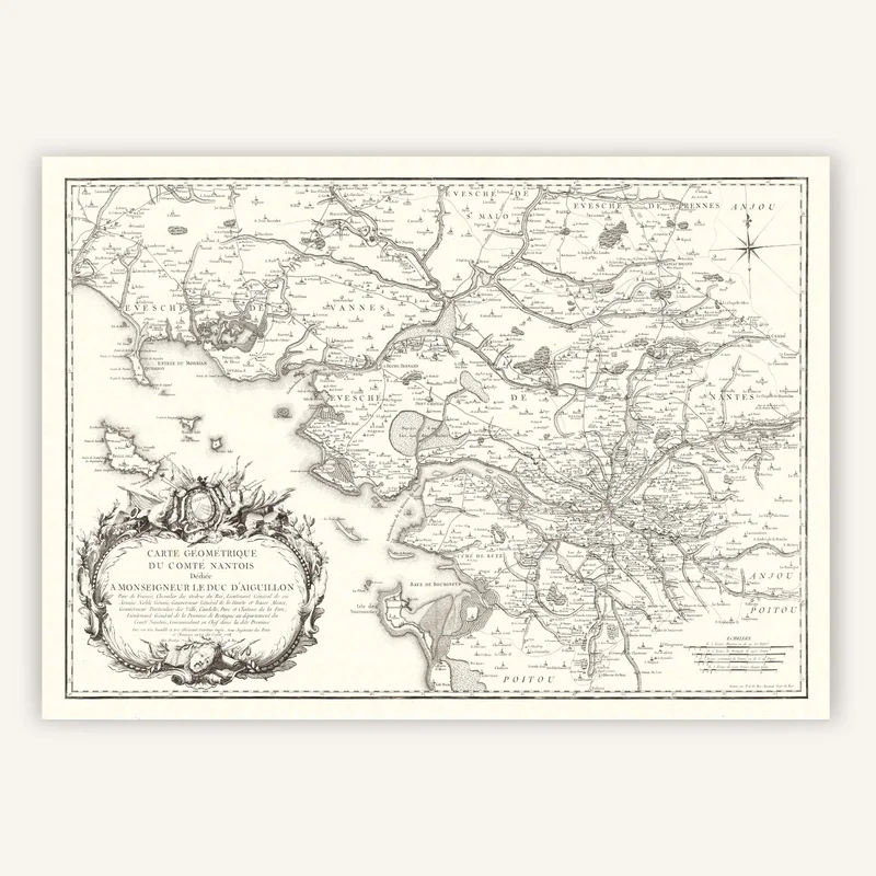 cartopolo1281800