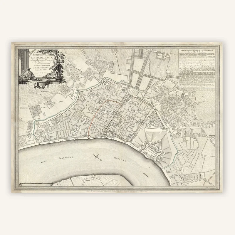 cartopolo1286654
