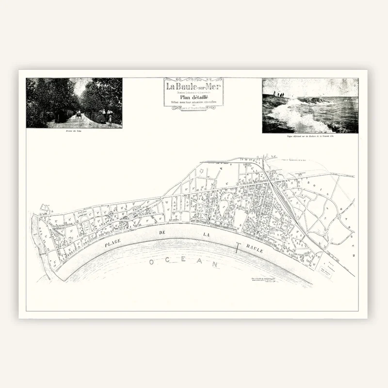 cartopolo1286758