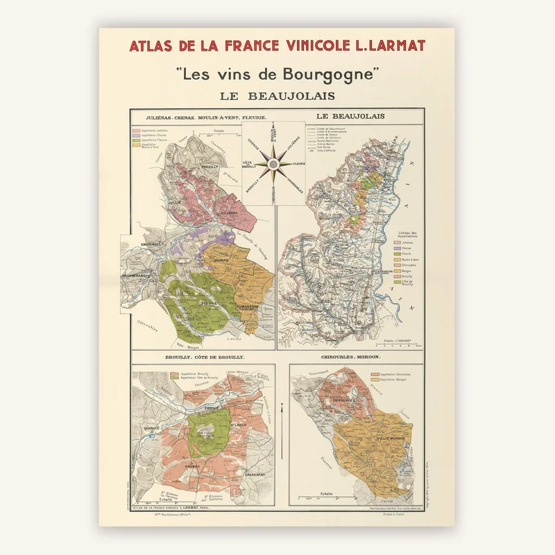 cartopolo1287298