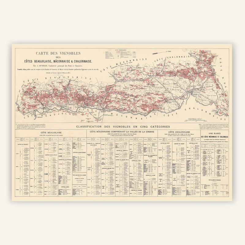 cartopolo1287350