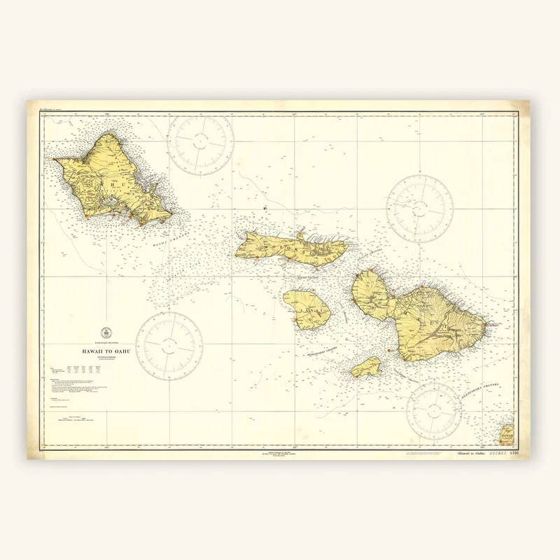 cartopolo1293807