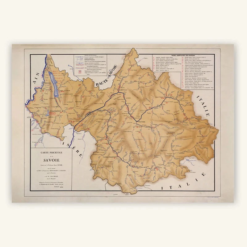 cartopolo1294562