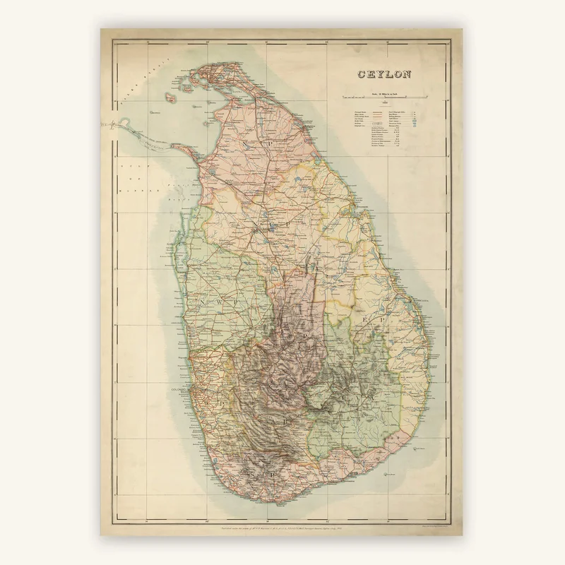 cartopolo1294641