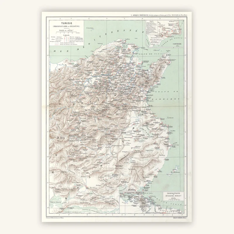 cartopolo1294700