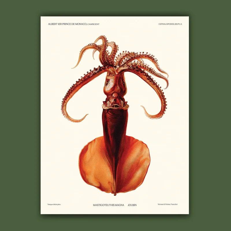 cartopolo1294971